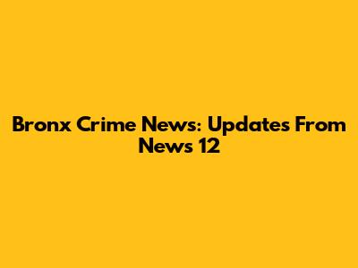 Bronx Crime News: Updates From News 12